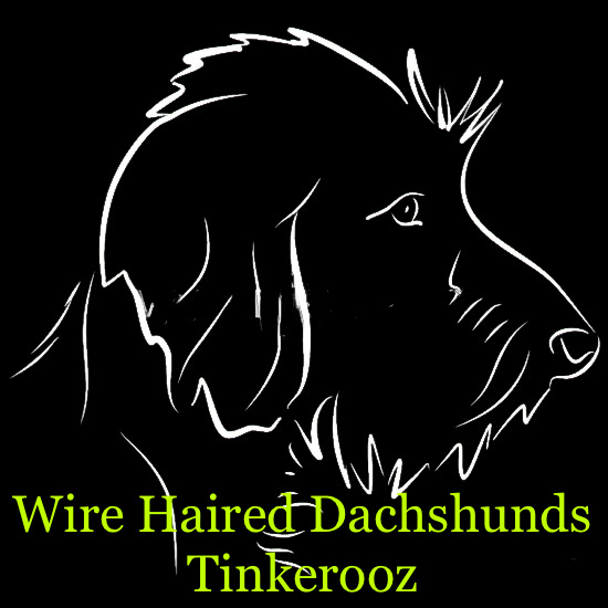 PhotoRoom_20211024_191351