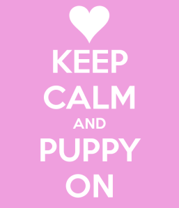 keep-calm-and-puppy-on-4