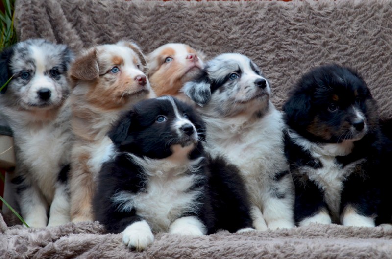 11365030473_b40b8f2833_b