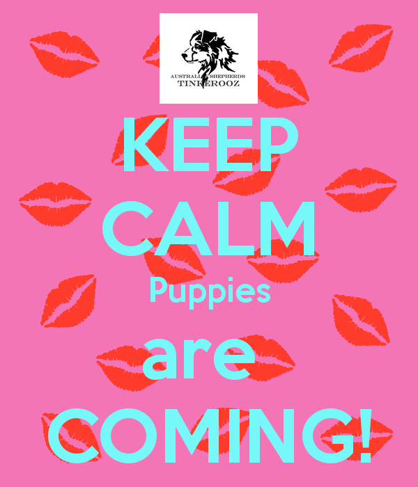 keep-calm-puppies-are-coming